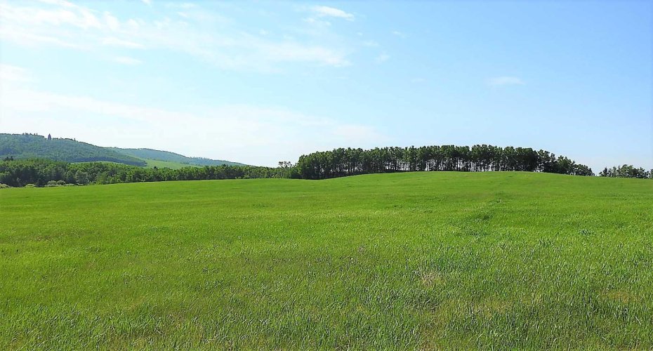 79.41 Acres SE-13-22-3W5, Rural Foothills County, Alberta T1S 2T7, ,Land,For Sale,79.41 Acres SE-13-22-3W5,A2057428