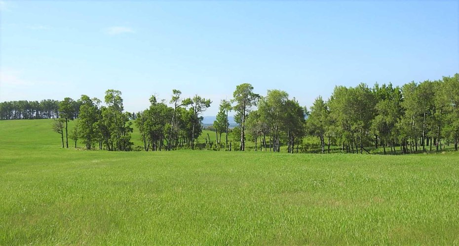 79.41 Acres SE-13-22-3W5, Rural Foothills County, Alberta T1S 2T7, ,Land,For Sale,79.41 Acres SE-13-22-3W5,A2057428