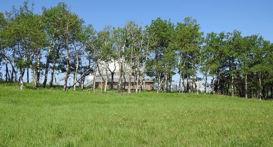 79.41 Acres SE-13-22-3W5, Rural Foothills County, Alberta T1S 2T7, ,Land,For Sale,79.41 Acres SE-13-22-3W5,A2057428