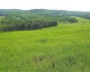79.41 Acres SE-13-22-3W5, Rural Foothills County, Alberta T1S 2T7, ,Land,For Sale,79.41 Acres SE-13-22-3W5,A2057428