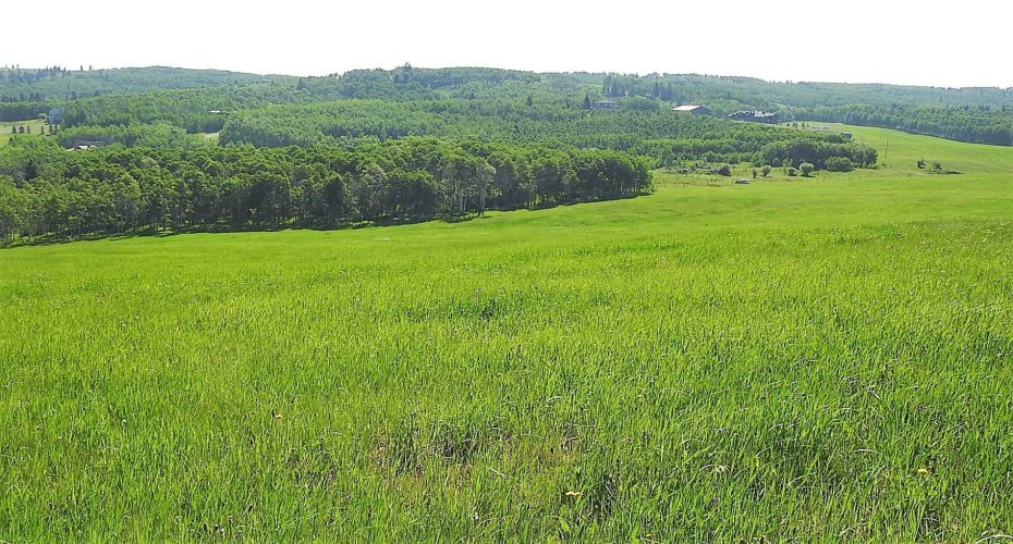 79.41 Acres SE-13-22-3W5, Rural Foothills County, Alberta T1S 2T7, ,Land,For Sale,79.41 Acres SE-13-22-3W5,A2057428