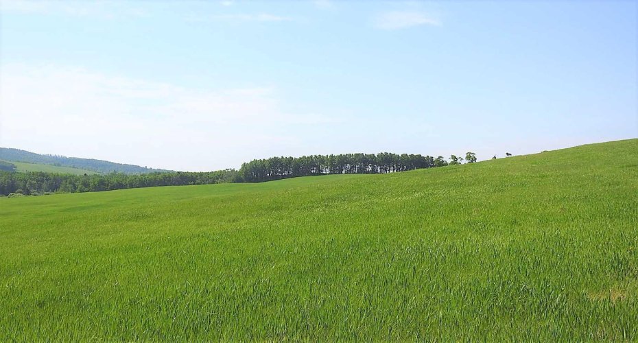 79.41 Acres SE-13-22-3W5, Rural Foothills County, Alberta T1S 2T7, ,Land,For Sale,79.41 Acres SE-13-22-3W5,A2057428