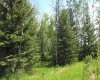 79.41 Acres SE-13-22-3W5, Rural Foothills County, Alberta T1S 2T7, ,Land,For Sale,79.41 Acres SE-13-22-3W5,A2057428