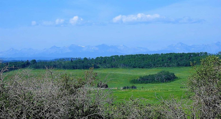 79.41 Acres SE-13-22-3W5, Rural Foothills County, Alberta T1S 2T7, ,Land,For Sale,79.41 Acres SE-13-22-3W5,A2057428