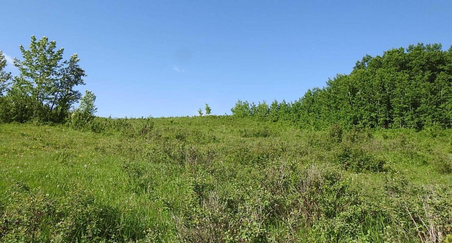 79.41 Acres SE-13-22-3W5, Rural Foothills County, Alberta T1S 2T7, ,Land,For Sale,79.41 Acres SE-13-22-3W5,A2057428