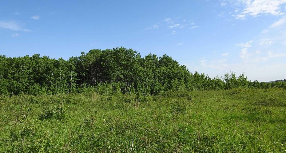 79.41 Acres SE-13-22-3W5, Rural Foothills County, Alberta T1S 2T7, ,Land,For Sale,79.41 Acres SE-13-22-3W5,A2057428