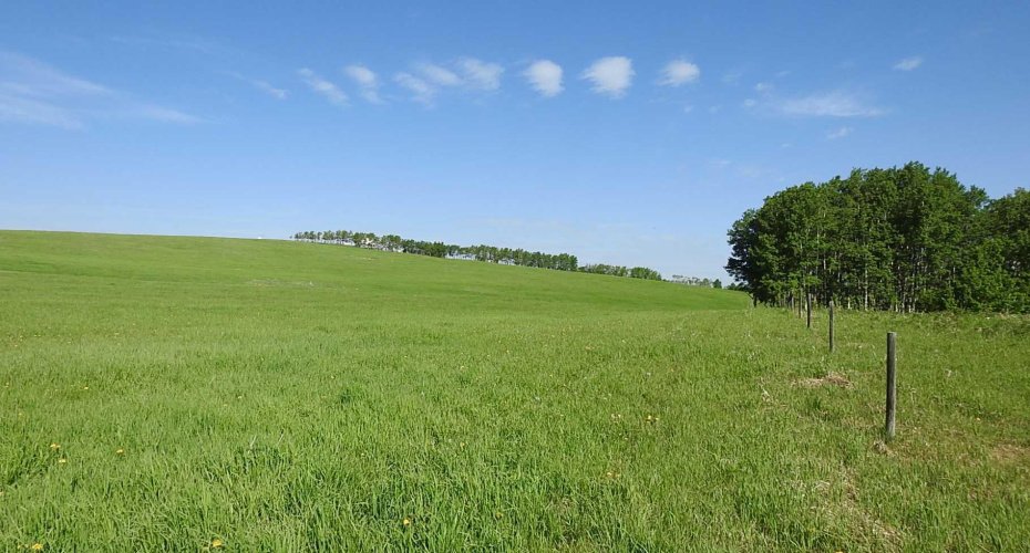 79.41 Acres SE-13-22-3W5, Rural Foothills County, Alberta T1S 2T7, ,Land,For Sale,79.41 Acres SE-13-22-3W5,A2057428