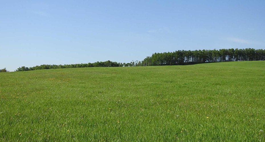 79.41 Acres SE-13-22-3W5, Rural Foothills County, Alberta T1S 2T7, ,Land,For Sale,79.41 Acres SE-13-22-3W5,A2057428