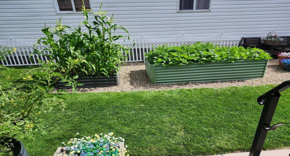 garden beds included