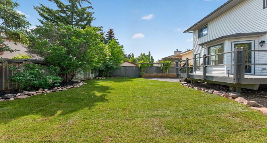 Backyard Beauty
