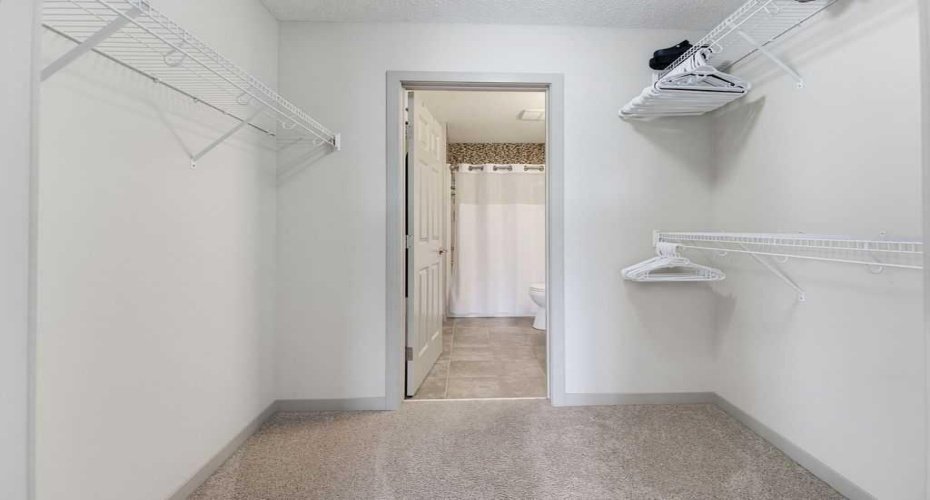 Primary ensuite- Walk thru closet.