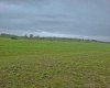 #8 421008 rr14, Rimbey, Alberta T0C 2J0, ,Land,For Sale,rr14,A2322580