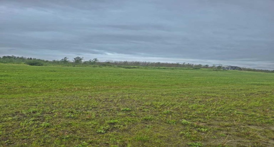 #8 421008 rr14, Rimbey, Alberta T0C 2J0, ,Land,For Sale,rr14,A2322580