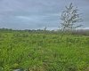 #8 421008 rr14, Rimbey, Alberta T0C 2J0, ,Land,For Sale,rr14,A2322580