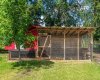 Chicken Coop