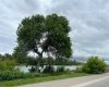 955 Mcpherson Road, Calgary, Alberta T2E 6V3, 1 Bedroom Bedrooms, ,1 BathroomBathrooms,Residential,For Sale,Mcpherson,A2323431