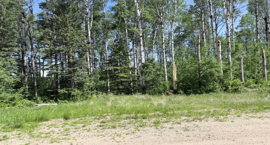 Block 1 Lot 7 Elk Ridge Estates, Rural Woodlands County, Alberta T7S 1N9, ,Land,For Sale,Elk Ridge Estates,A2323669