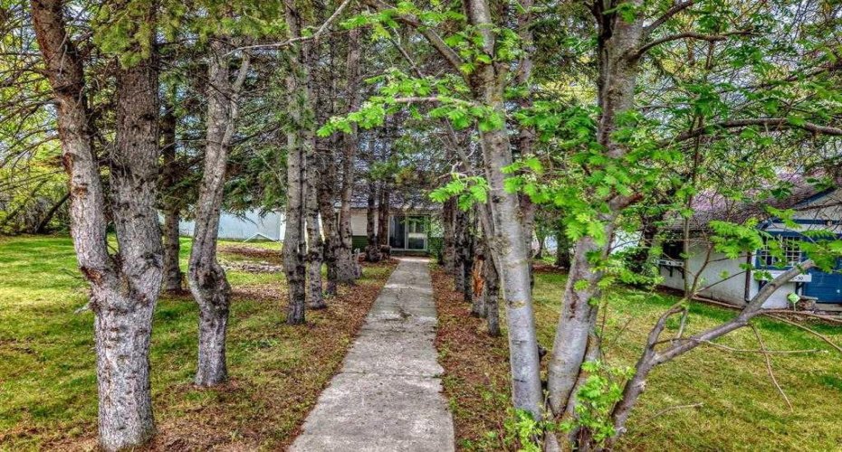 Front yard