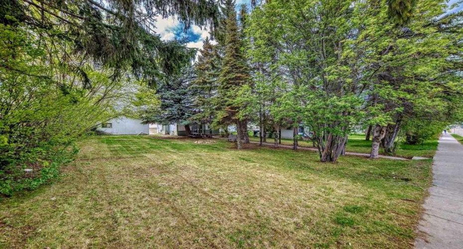 Front Yard