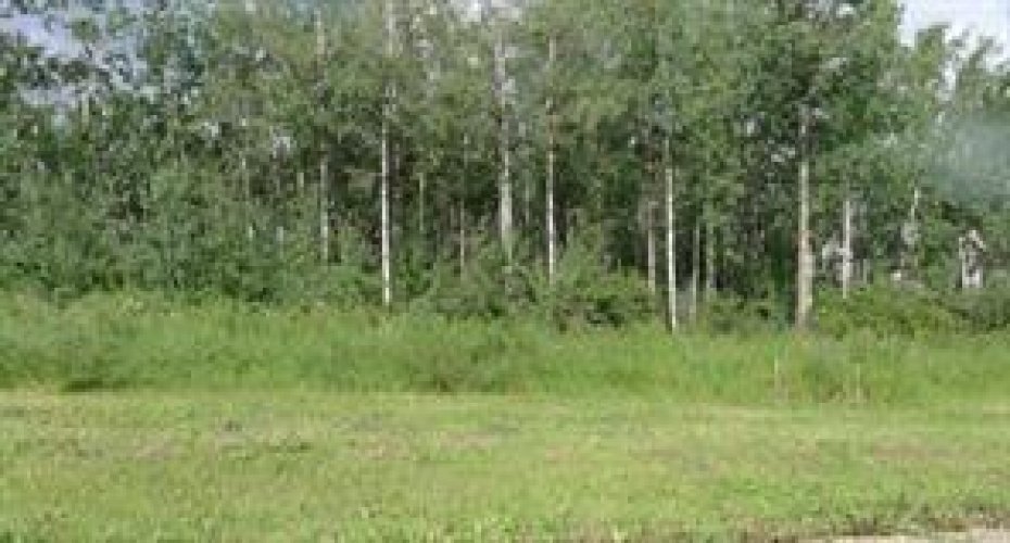 122 Wolf Run Drive, Rural Ponoka County, Alberta T4J1R3, ,Land,For Sale,Wolf Run Drive,A2032926