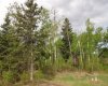 122 Wolf Run Drive, Rural Ponoka County, Alberta T4J1R3, ,Land,For Sale,Wolf Run Drive,A2032926