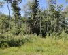 122 Wolf Run Drive, Rural Ponoka County, Alberta T4J1R3, ,Land,For Sale,Wolf Run Drive,A2032926