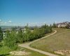The view