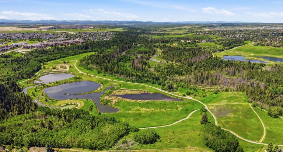 331 MILLVIEW Bay, Calgary, Alberta T2Y 3Y1, 4 Bedrooms Bedrooms, ,4 BathroomsBathrooms,Residential,For Sale,MILLVIEW,A2323816