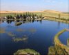 45056 Range Road 275, Hill Spring, Alberta T0K 1E0, ,Commercial,For Sale,Range Road 275,A2318883