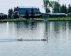 45056 Range Road 275, Hill Spring, Alberta T0K 1E0, ,Commercial,For Sale,Range Road 275,A2318883