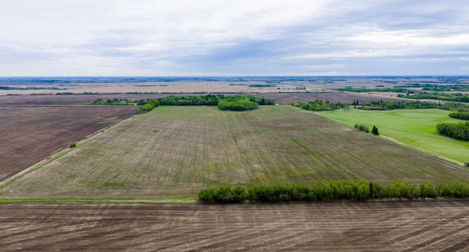 SE-8-80-8-W6, Rural Saddle Hills County, Alberta T0H 0H0, ,Land,For Sale,SE-8-80-8-W6,A2324809