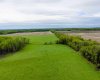 SE-8-80-8-W6, Rural Saddle Hills County, Alberta T0H 0H0, ,Land,For Sale,SE-8-80-8-W6,A2324809