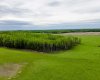 SE-8-80-8-W6, Rural Saddle Hills County, Alberta T0H 0H0, ,Land,For Sale,SE-8-80-8-W6,A2324809