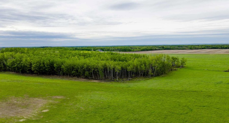 SE-8-80-8-W6, Rural Saddle Hills County, Alberta T0H 0H0, ,Land,For Sale,SE-8-80-8-W6,A2324809