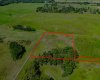 32103 Badger Road, Rural Rocky View County, Alberta T4C 1A2, ,Land,For Sale,Badger,A2324830