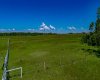 32103 Badger Road, Rural Rocky View County, Alberta T4C 1A2, ,Land,For Sale,Badger,A2324830