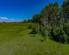 32103 Badger Road, Rural Rocky View County, Alberta T4C 1A2, ,Land,For Sale,Badger,A2324830