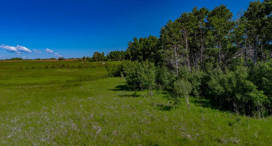 32103 Badger Road, Rural Rocky View County, Alberta T4C 1A2, ,Land,For Sale,Badger,A2324830