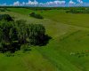 32103 Badger Road, Rural Rocky View County, Alberta T4C 1A2, ,Land,For Sale,Badger,A2324830