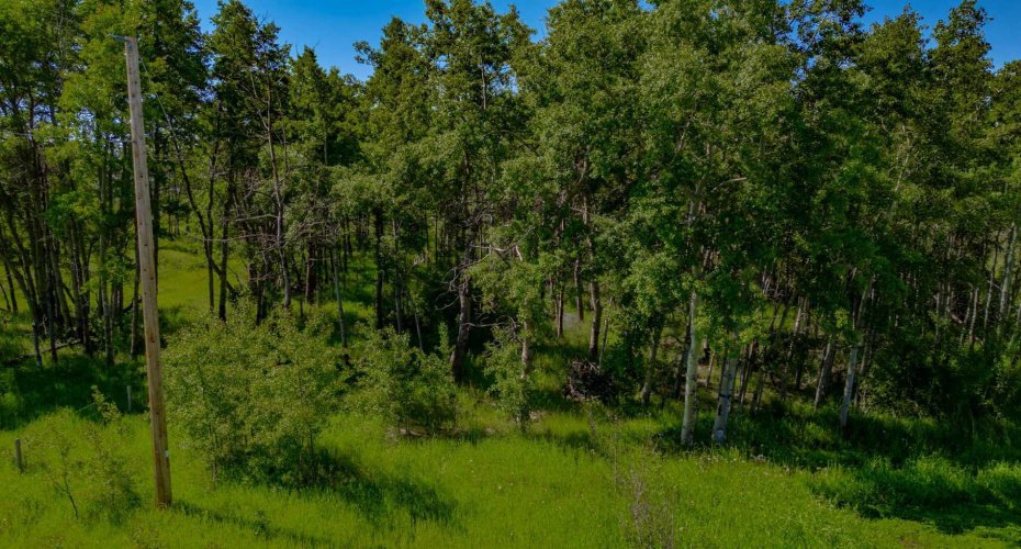 32103 Badger Road, Rural Rocky View County, Alberta T4C 1A2, ,Land,For Sale,Badger,A2324830