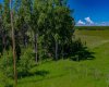 32103 Badger Road, Rural Rocky View County, Alberta T4C 1A2, ,Land,For Sale,Badger,A2324830