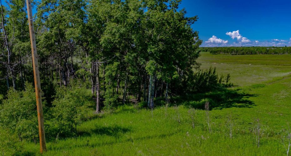 32103 Badger Road, Rural Rocky View County, Alberta T4C 1A2, ,Land,For Sale,Badger,A2324830