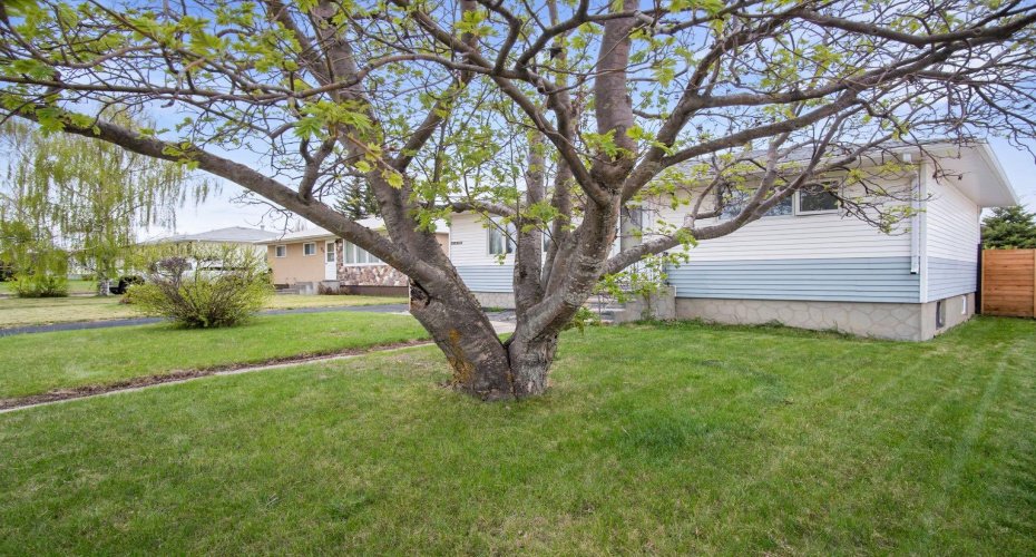 5417 50 Street, Olds, Alberta T4H1J1, 4 Bedrooms Bedrooms, ,2 BathroomsBathrooms,Residential,For Sale,50,A2324897