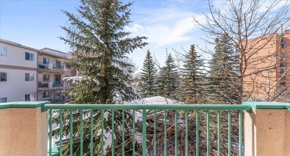 Enjoy the sunny exposure and privacy of mature trees.