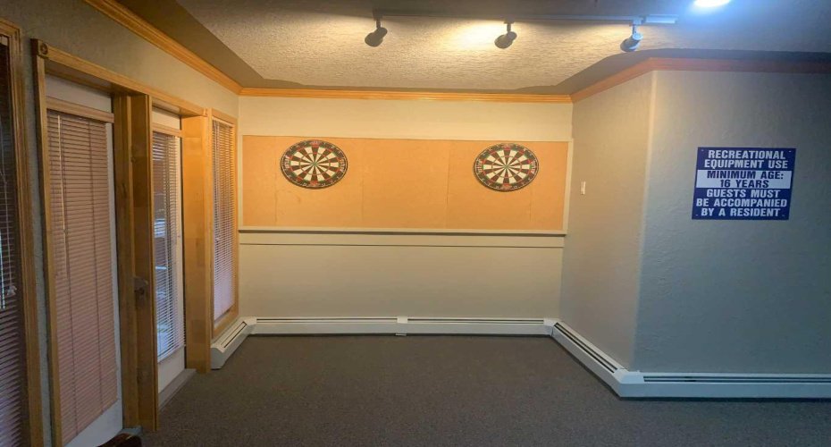 Darts