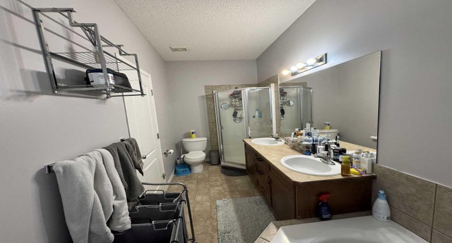 234 Royal Birch Bay, Calgary, Alberta T3G5X6, ,Rental,Royal Birch,A2325055