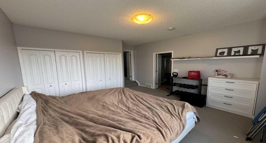 234 Royal Birch Bay, Calgary, Alberta T3G5X6, ,Rental,Royal Birch,A2325055