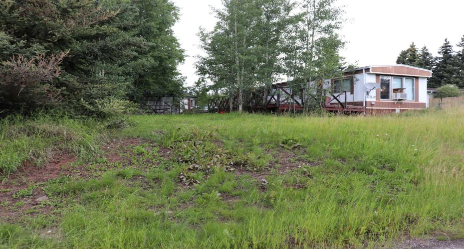 4938 49 Avenue, Robb, Alberta T0E 1X0, 3 Bedrooms Bedrooms, ,1 BathroomBathrooms,Residential,For Sale,49 Avenue,A2284976