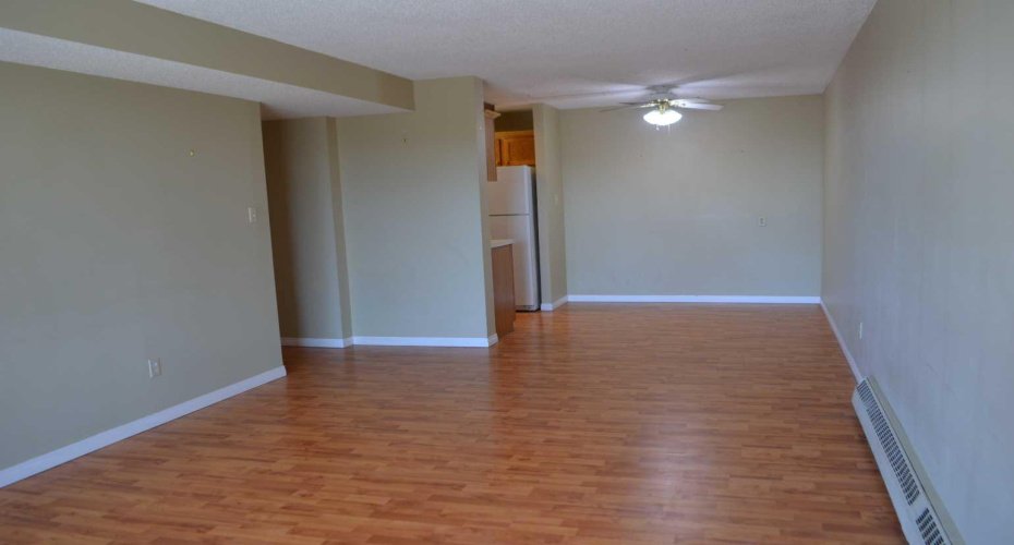 Living Room/Dining Room Vacant