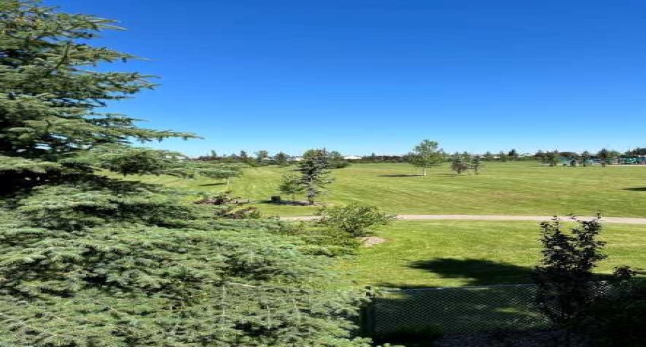 Green Space